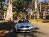 Mercedes-Benz SL 65 AMG Black Series (2009) - picture 1 of 20