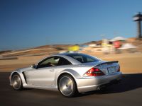 Mercedes-Benz SL 65 AMG Black Series (2009) - picture 4 of 20