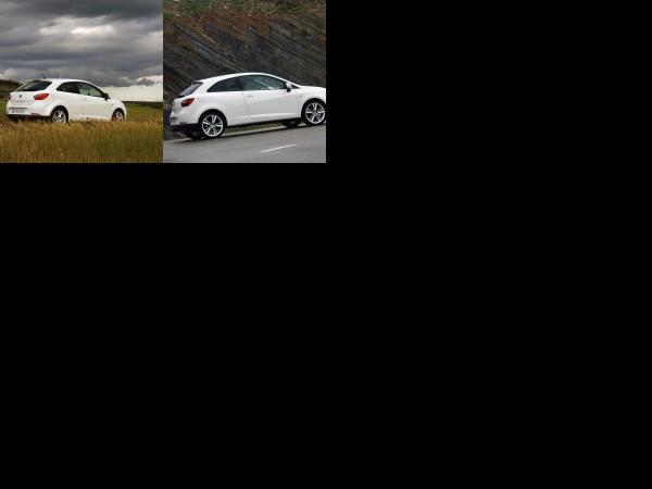 SEAT Ibiza SportCoupe (2009) - picture 13 of 14