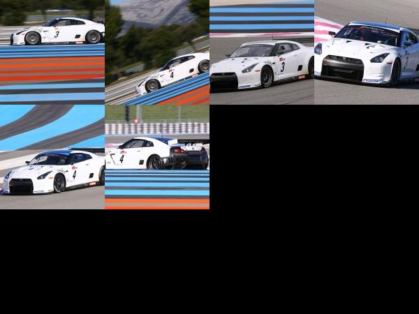 Nissan GT-R Swiss Racing Team (2010) - picture 1 of 6
