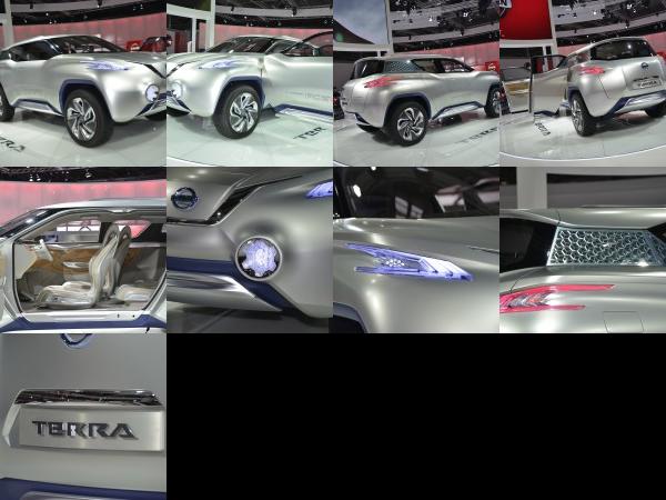 Paris Nissan TeRRA Paris 2012 (2012) - picture 1 of 9