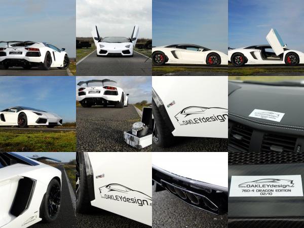 Lamborghini Oakley Design Lamborghini Aventador LP760-4 Dragon Edition (2012) - picture 13 of 31
