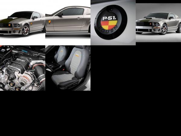 ROUSH P-51A Ford Mustang (2007) - picture 1 of 6