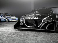Peugeot 208 T16 Pikes Peak Racer (2013)