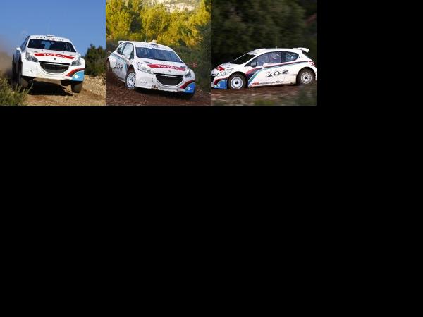 Peugeot 208 Type R5 (2012) - picture 1 of 3