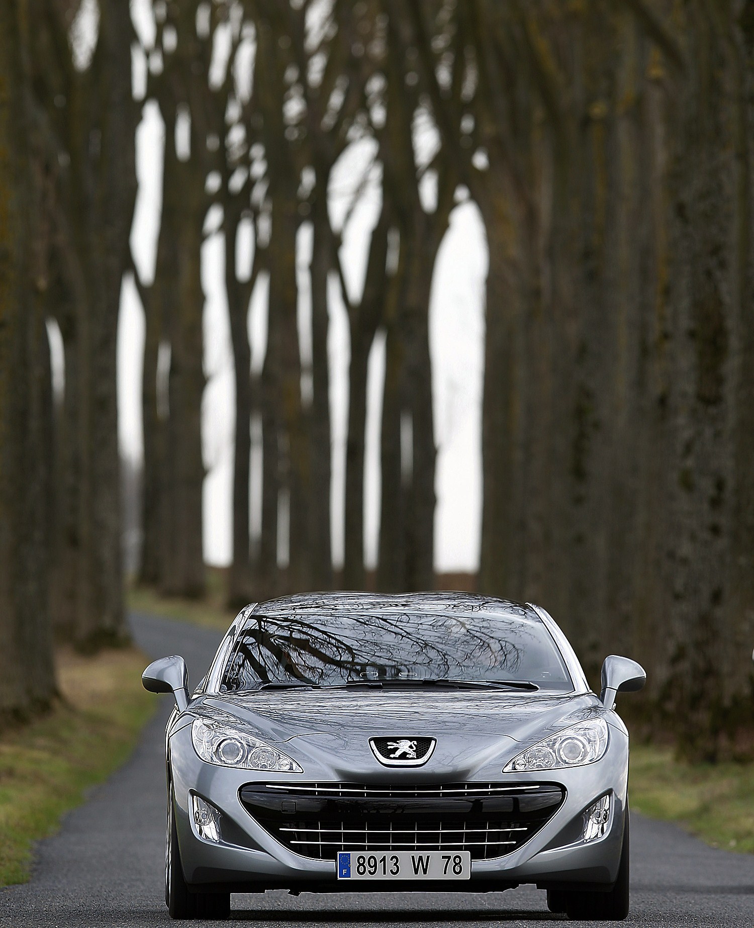 Peugeot 308 RCZ
