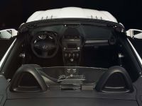 Piecha Design Mercedes-Benz SLK R171 Final Performance RS Edition (2010) - picture 4 of 6