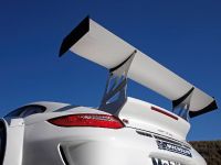 Porsche 911 GT3 R Race Car (2010)