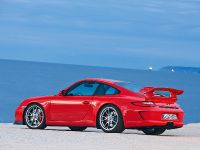 Porsche at the Goodwood (2009) - picture 2 of 11