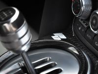 Prior-Design Audi R8 Carbon Limited Edition (2010) - picture 8 of 14