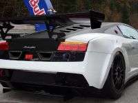 Reiter Lamborghini LP600+ GT3 (2011) - picture 3 of 5