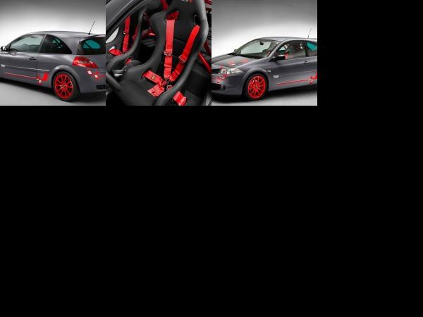 Renault Megane Renaultsport R26.R (2009) - picture 1 of 3