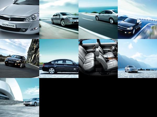 Renault Safrane 2008 (2009) - picture 1 of 9