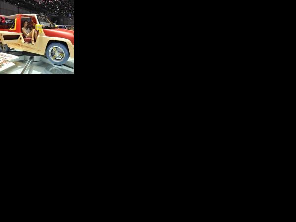 Geneva Rinspeed BamBoo Geneva 2011 (2011) - picture 1 of 1