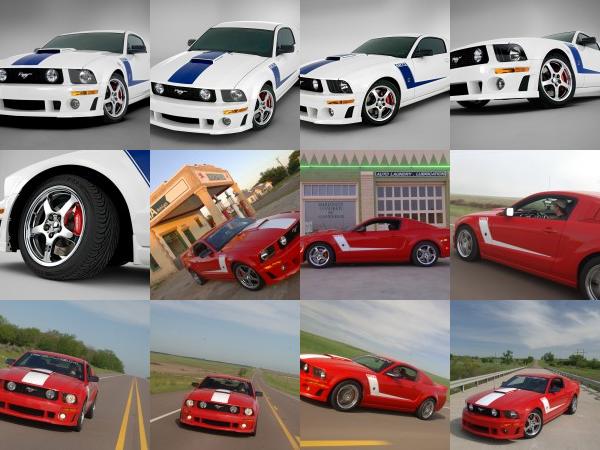 ROUSH 427R Ford Mustang (2009) - picture 13 of 33