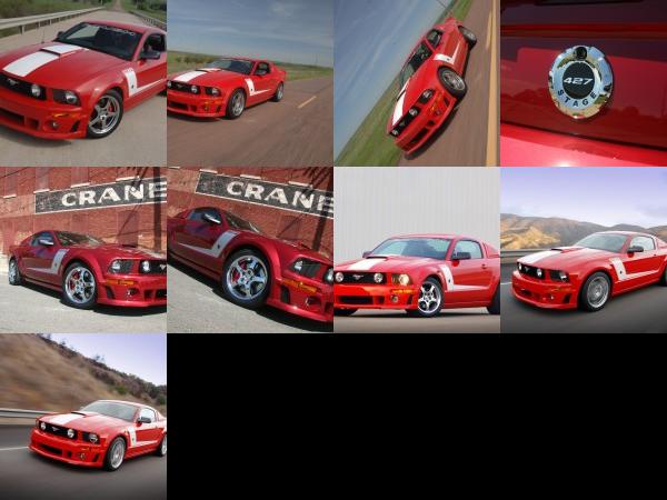ROUSH 427R Ford Mustang (2009) - picture 25 of 33