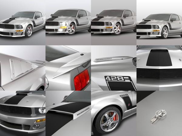 ROUSH 428R Ford Mustang (2008) - picture 1 of 14