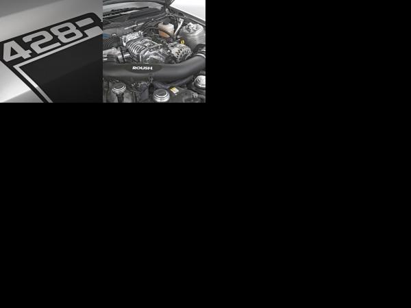 ROUSH 428R Ford Mustang (2008) - picture 13 of 14