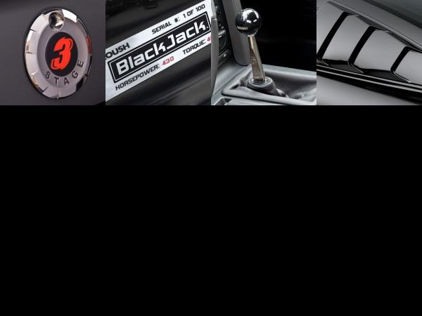 ROUSH BlackJack Mustang (2008) - picture 13 of 16