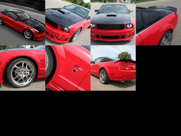 ROUSH RTC Ford Mustang (2009) - picture 1 of 7