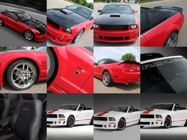 ROUSH Speedster Fod Mustang (2008) - picture 1 of 16