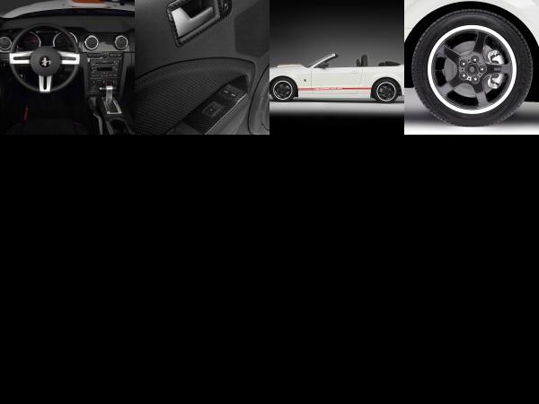 ROUSH Speedster Fod Mustang (2008) - picture 13 of 16