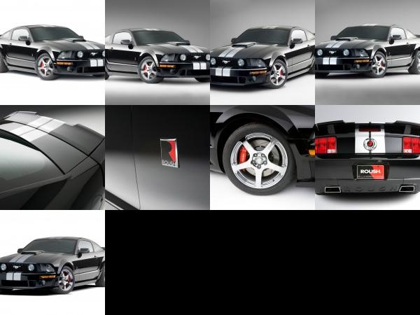 ROUSH Stage 3 Ford Mustang (2009) - picture 1 of 9