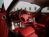 RUF Porsche CTR3 (2007) - picture 3 of 3