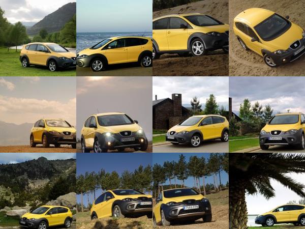 SEAT Altea Freetrack (2007) - picture 1 of 24