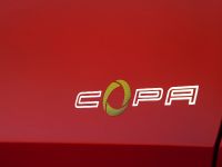 Seat Ibiza SC SE Copa (2011)