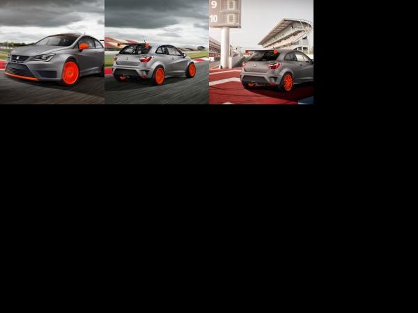 SEAT Ibiza SC Trophy (2012) - picture 1 of 3