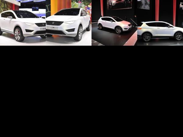Geneva SEAT IBX Geneva 2011 (2011) - picture 1 of 4