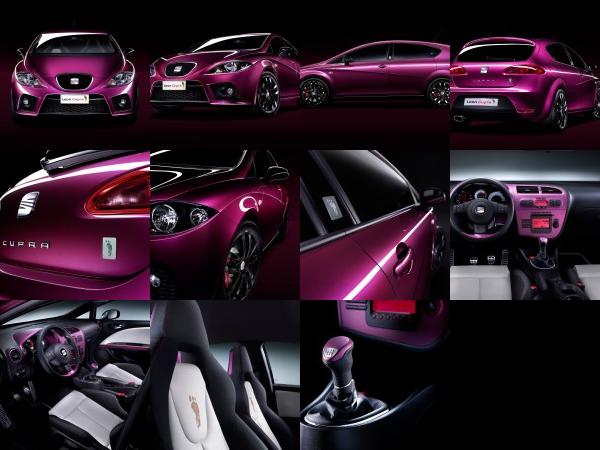 SEAT Leon Pies Descalzos (2009) - picture 1 of 11