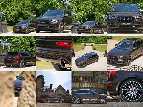 Audi Senner Audi Q5 (2011) - picture 1 of 26