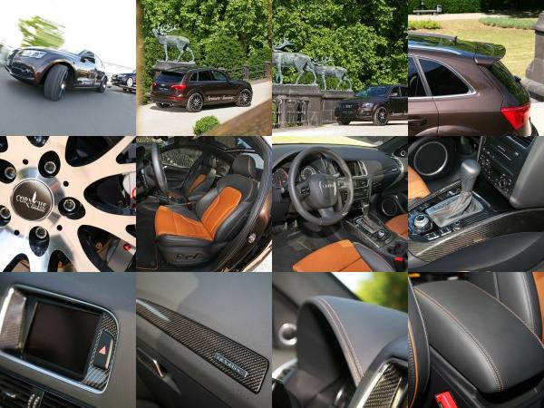 Audi Senner Audi Q5 (2011) - picture 13 of 26