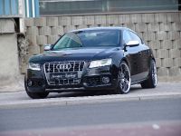 Senner Audi S5 Sportsback Grand Prix (2010)