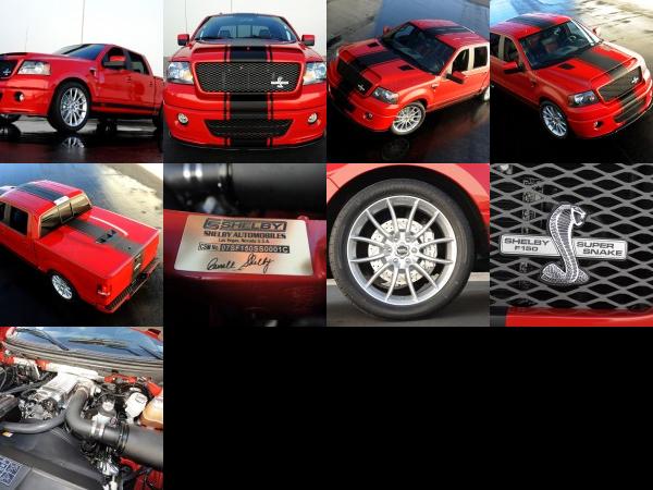 Shelby Ford F-150 Super Snake Concept (2009) - picture 1 of 9