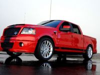 Shelby Ford F-150 Super Snake Concept (2009) - picture 1 of 9