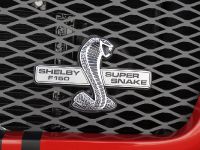 Shelby Ford F-150 Super Snake Concept (2009) - picture 8 of 9