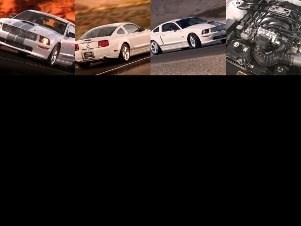 Ford Mustang (2007) - picture 1 of 4
