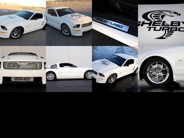 Shelby Ford Shelby GT (2008) - picture 1 of 8