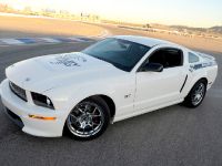 Ford Shelby GT (2008) - picture 1 of 8