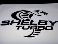 Ford Shelby GT (2008) - picture 4 of 8