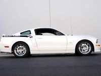 Ford Shelby GT (2008) - picture 6 of 8