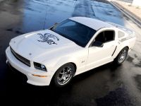 Ford Shelby GT (2008) - picture 7 of 8