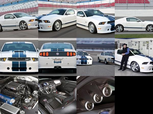 Shelby Ford Mustang Shelby GT350 (2010) - picture 1 of 11