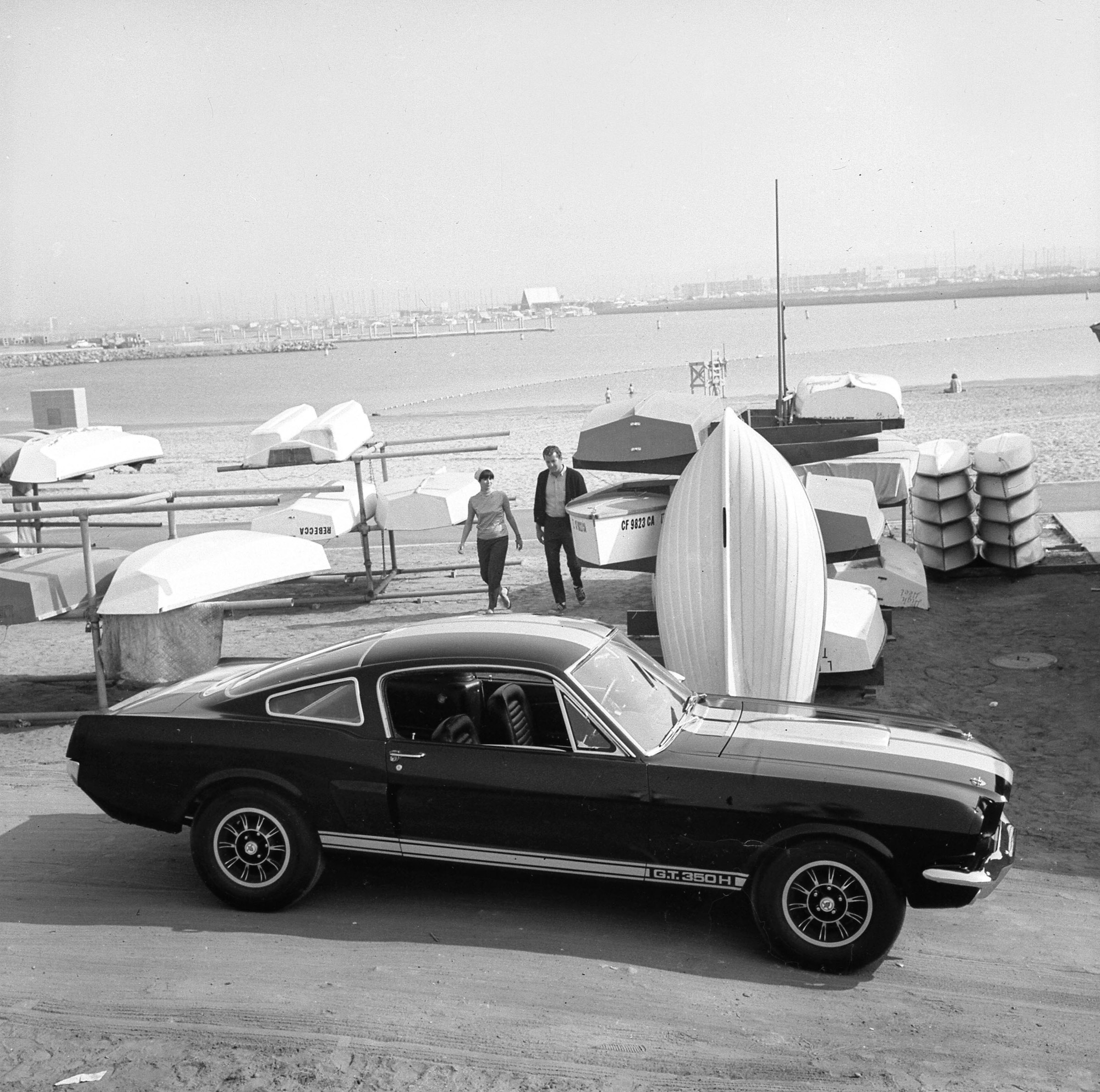 Ford Mustang Shelby GT 350