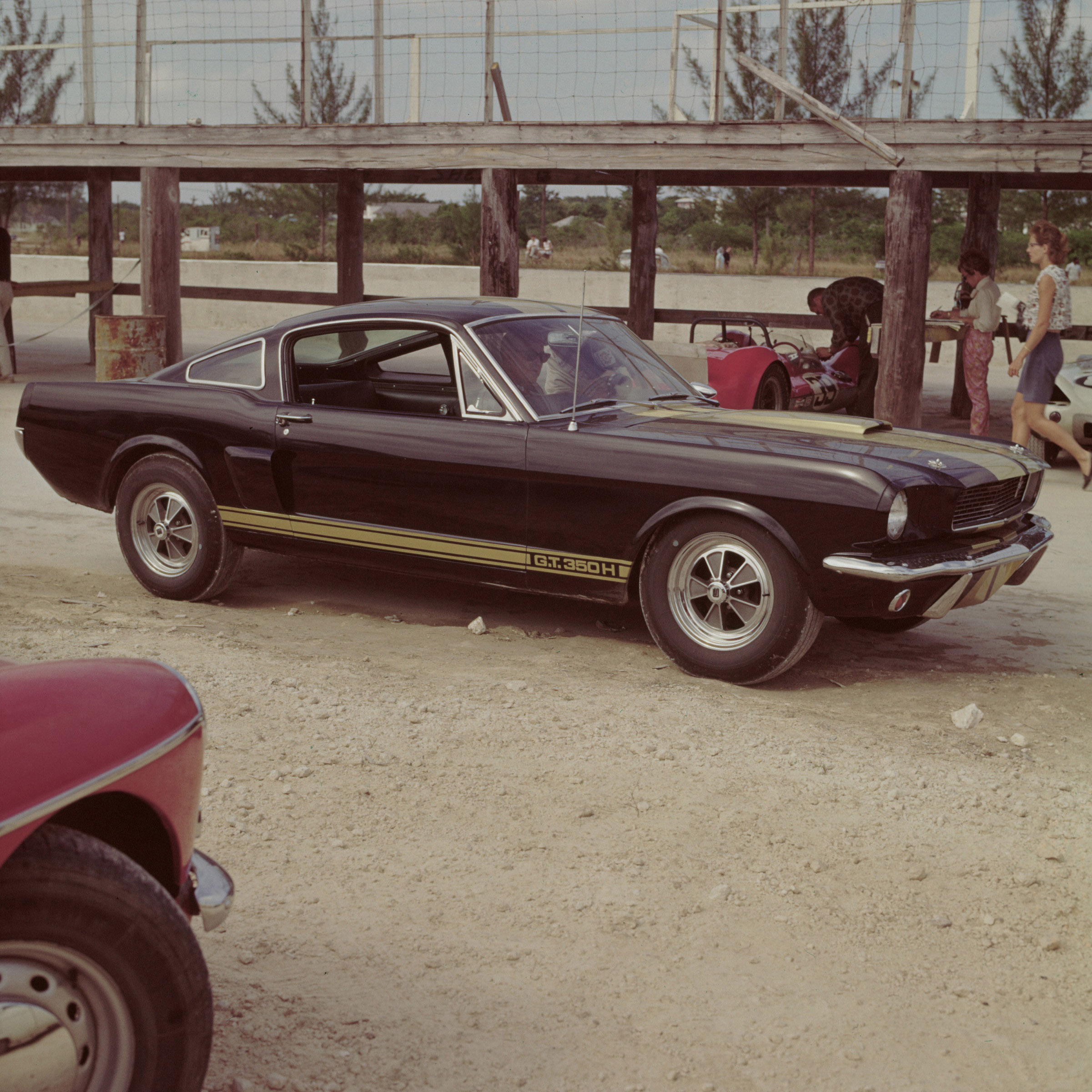 Ford Mustang Shelby GT 350