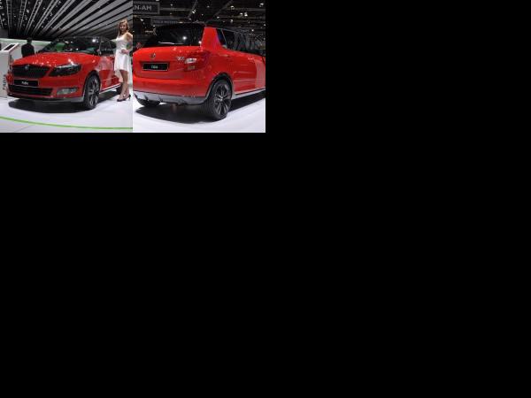 Geneva Skoda Fabia Monte Carlo Geneva 2011 (2011) - picture 1 of 2