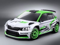 Skoda Fabia R 5 Concept (2015)
